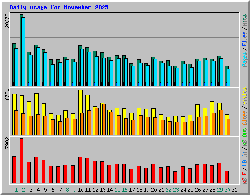 Daily usage for November 2025