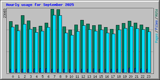 Hourly usage for September 2025
