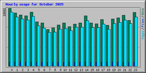 Hourly usage for October 2025